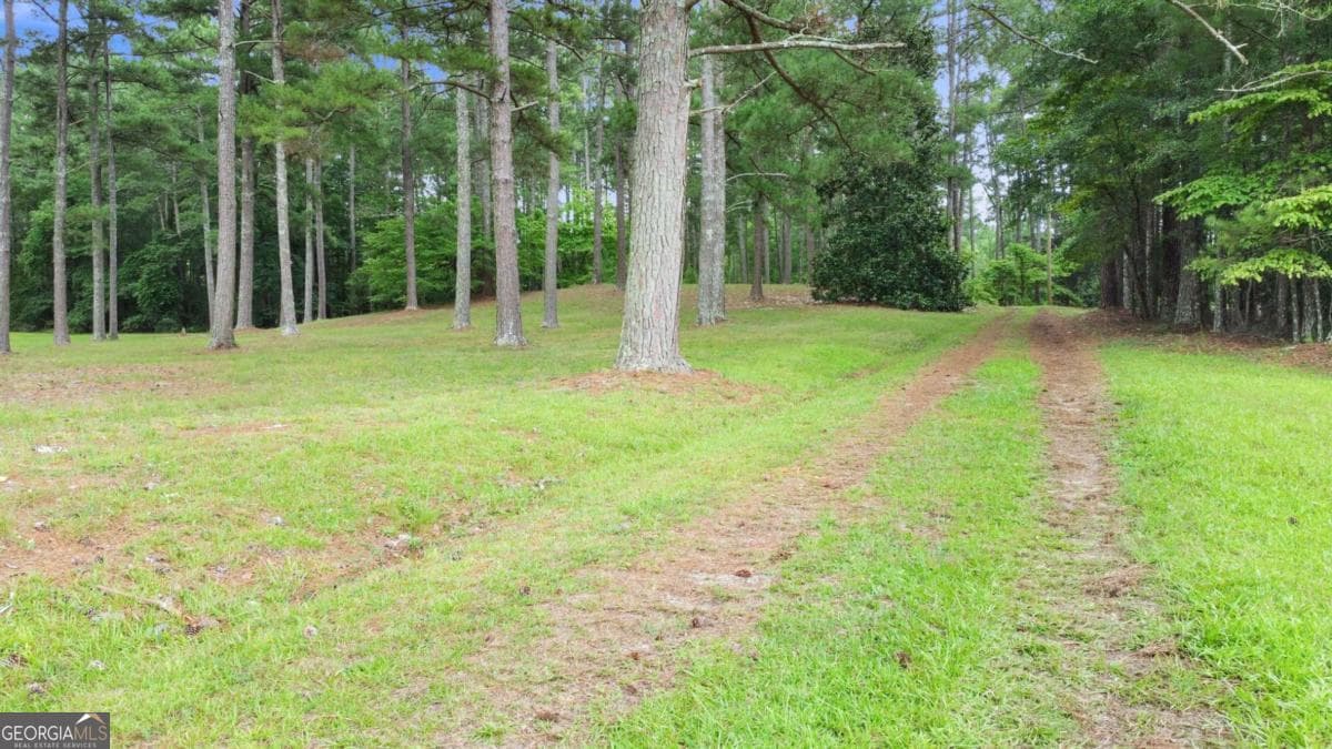 residential lot for sale at 0 Hutcheson Ferry Road, Chattahoochee Hills, GA 30268 — photo 9