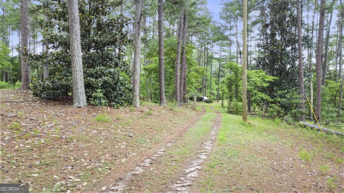 residential lot for sale at 0 Hutcheson Ferry Road, Chattahoochee Hills, GA 30268 — photo 10