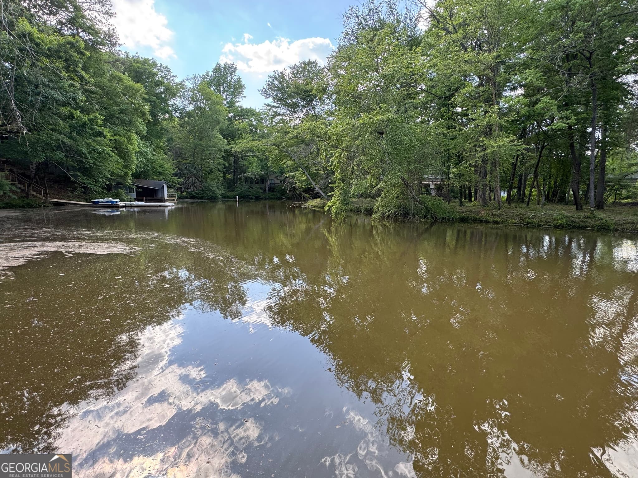 3 bedroom, 2 bathroom, 1,472 sq ft cabin,single family residence for sale at 165 Dollar Road, Hamilton, GA 31811 — photo 8