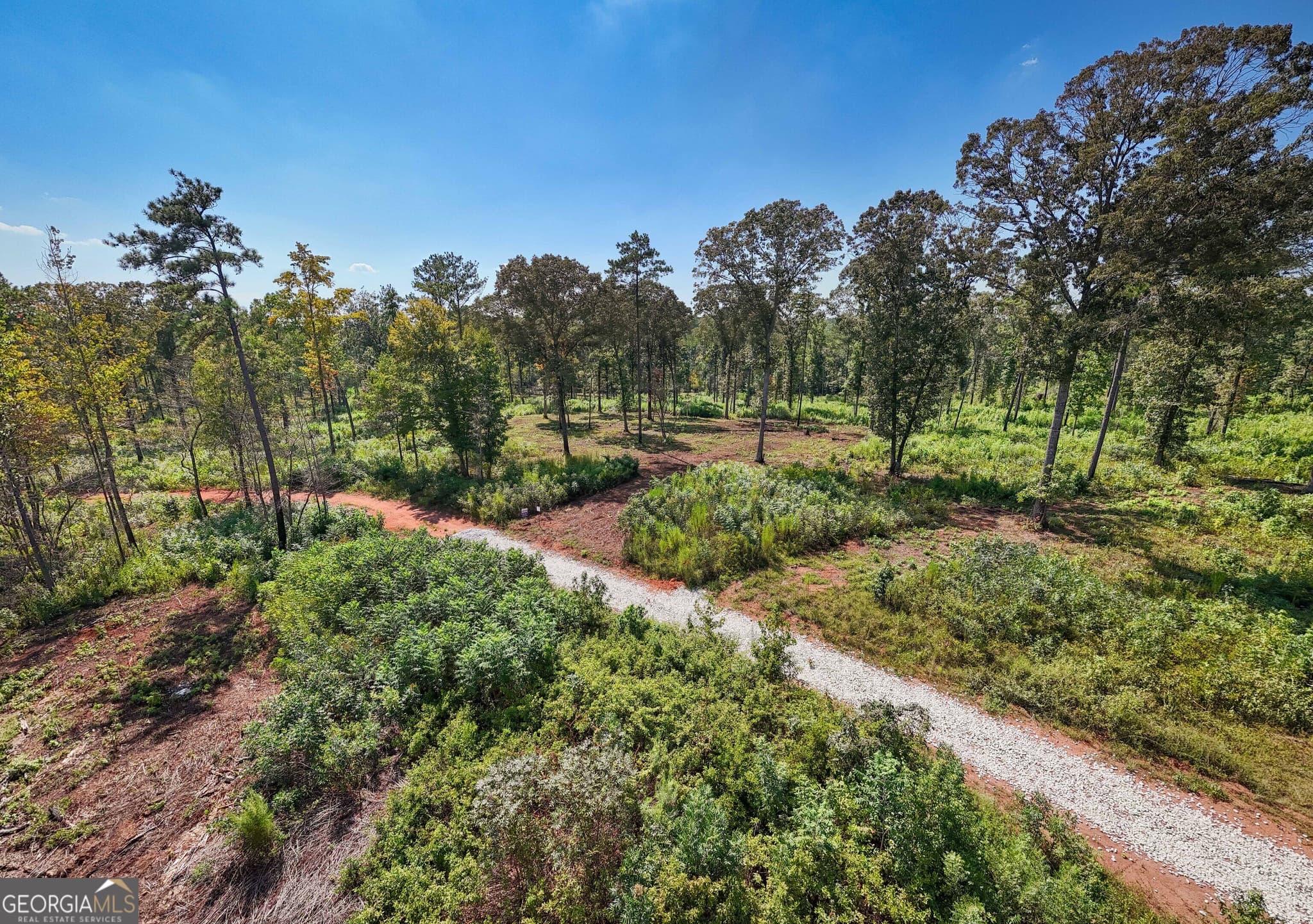 estate lot for sale at 0 Hwy 100 12 TUCKER WAY, Franklin, GA 30217 — photo 3