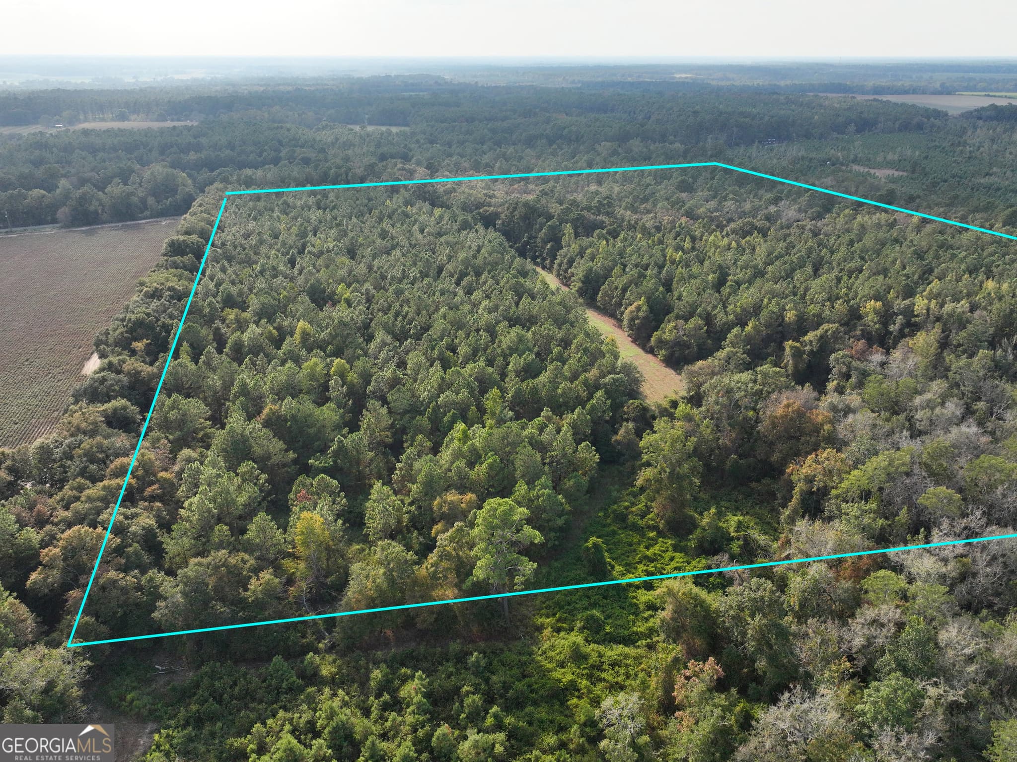 agriculture sold at 0 MJ Taylor Road, Hahira, GA 31632