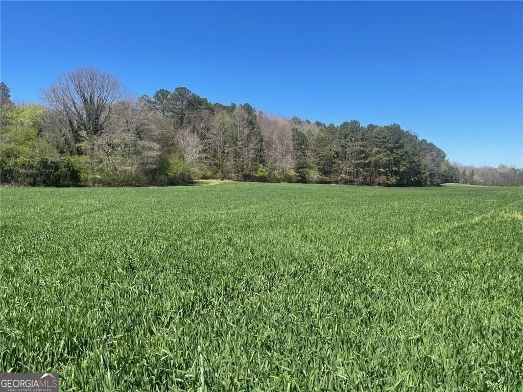 unimproved land for sale at 0-A Cleveland Highway, Cohutta, GA 30710 — photo 2