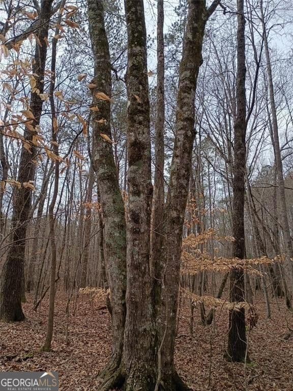 unimproved land for sale at 0-A Cleveland Highway, Cohutta, GA 30710 — photo 6