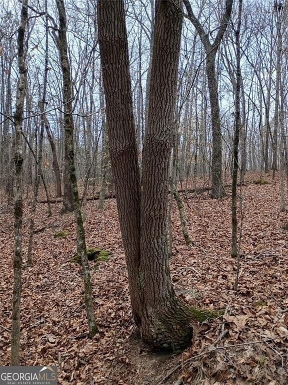 unimproved land for sale at 0-A Cleveland Highway, Cohutta, GA 30710 — photo 7