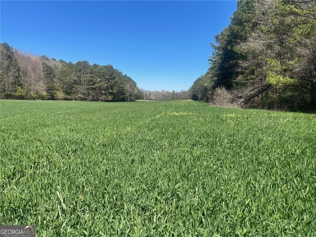 unimproved land for sale at 0-A Cleveland Highway, Cohutta, GA 30710 — photo 3