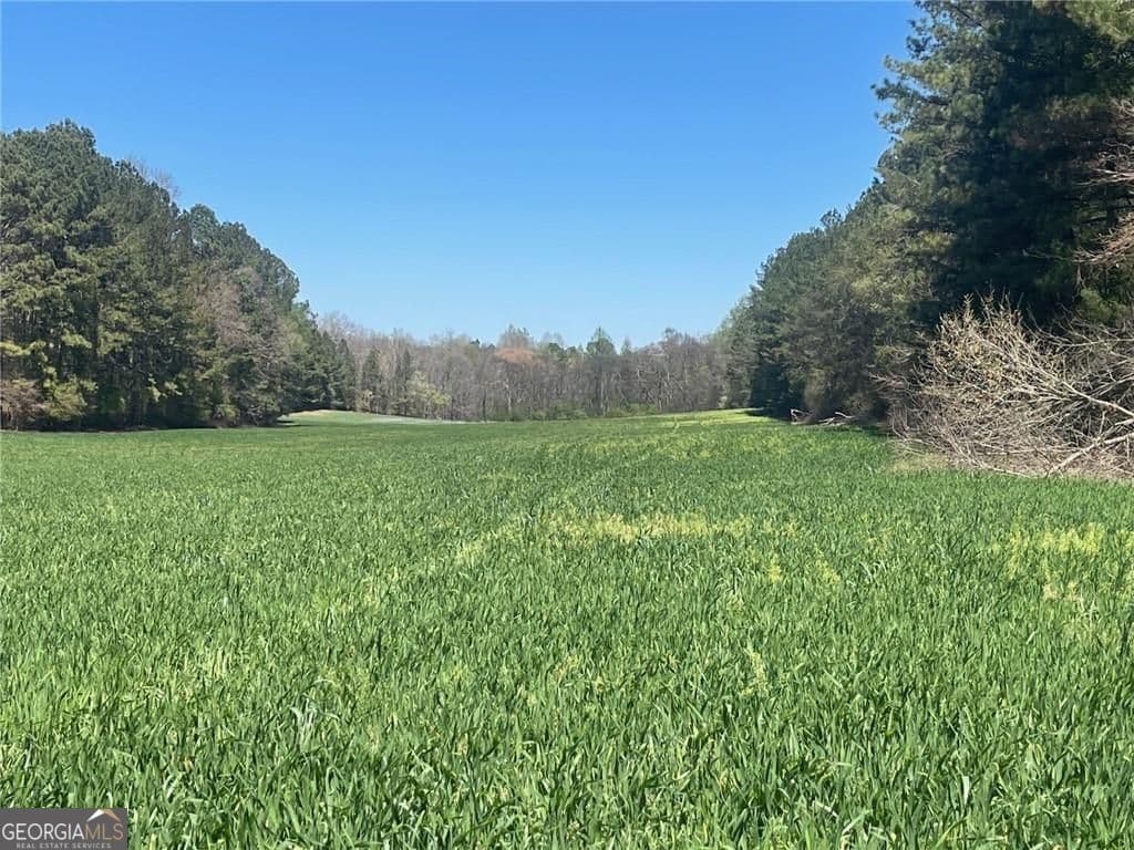 unimproved land for sale at 0-A Cleveland Highway, Cohutta, GA 30710 — photo 1 of 10