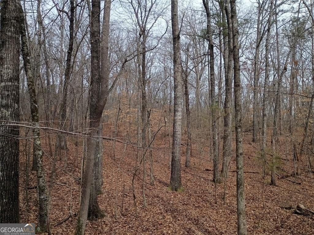 unimproved land for sale at 0-A Cleveland Highway, Cohutta, GA 30710 — photo 5