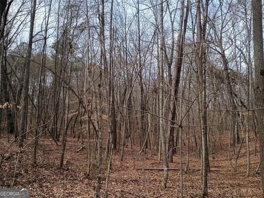 unimproved land for sale at 0-A Cleveland Highway, Cohutta, GA 30710 — photo 9