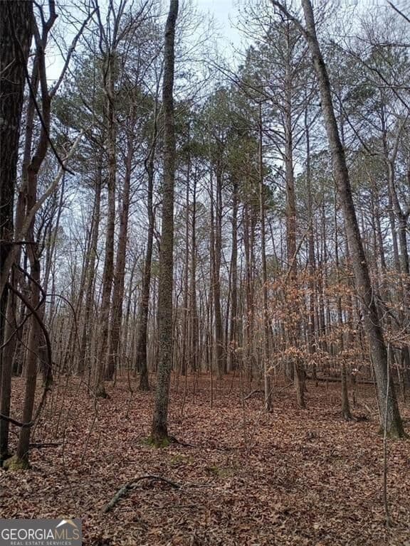 unimproved land for sale at 0-A Cleveland Highway, Cohutta, GA 30710 — photo 10