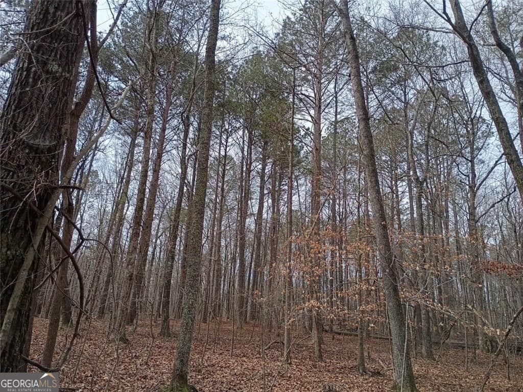 unimproved land for sale at 0-A Cleveland Highway, Cohutta, GA 30710 — photo 4