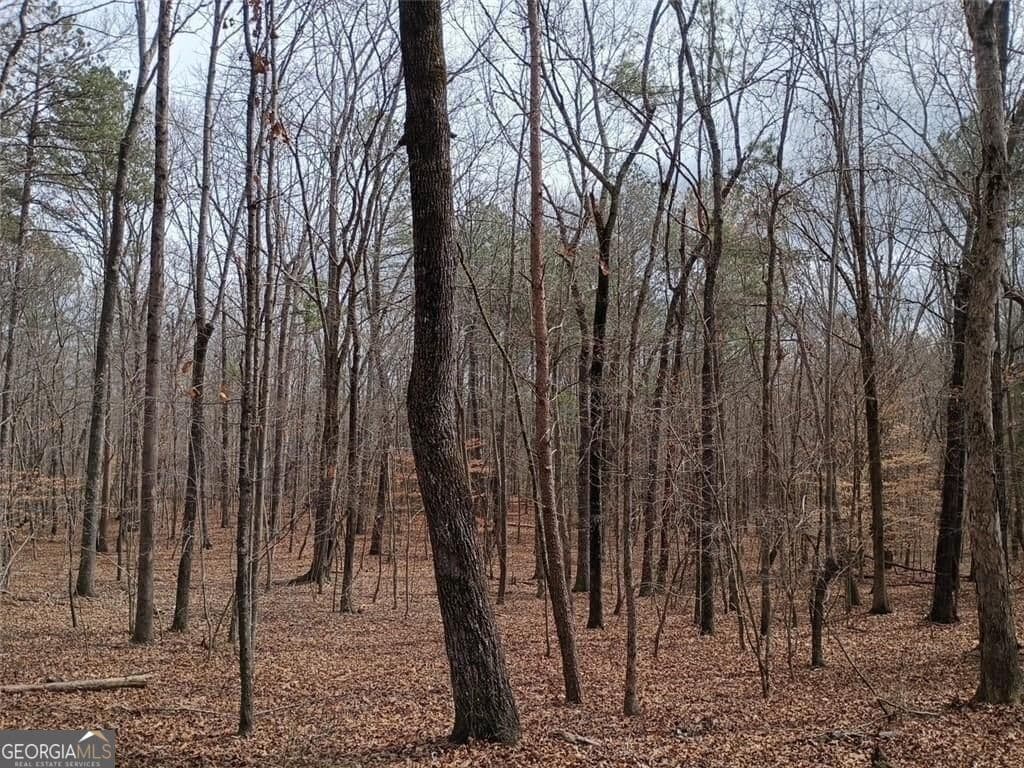 unimproved land for sale at 0-A Cleveland Highway, Cohutta, GA 30710 — photo 8