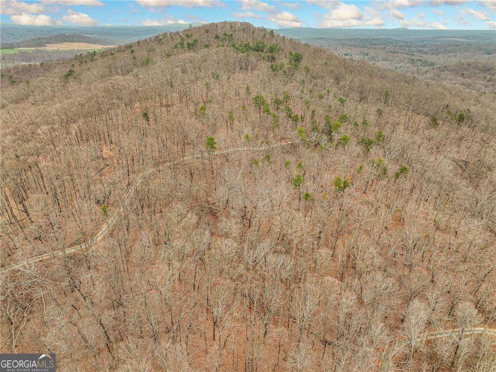 residential lot for sale at LOT 6 Mount Mincie Road, Murrayville, GA 30564 — photo 2