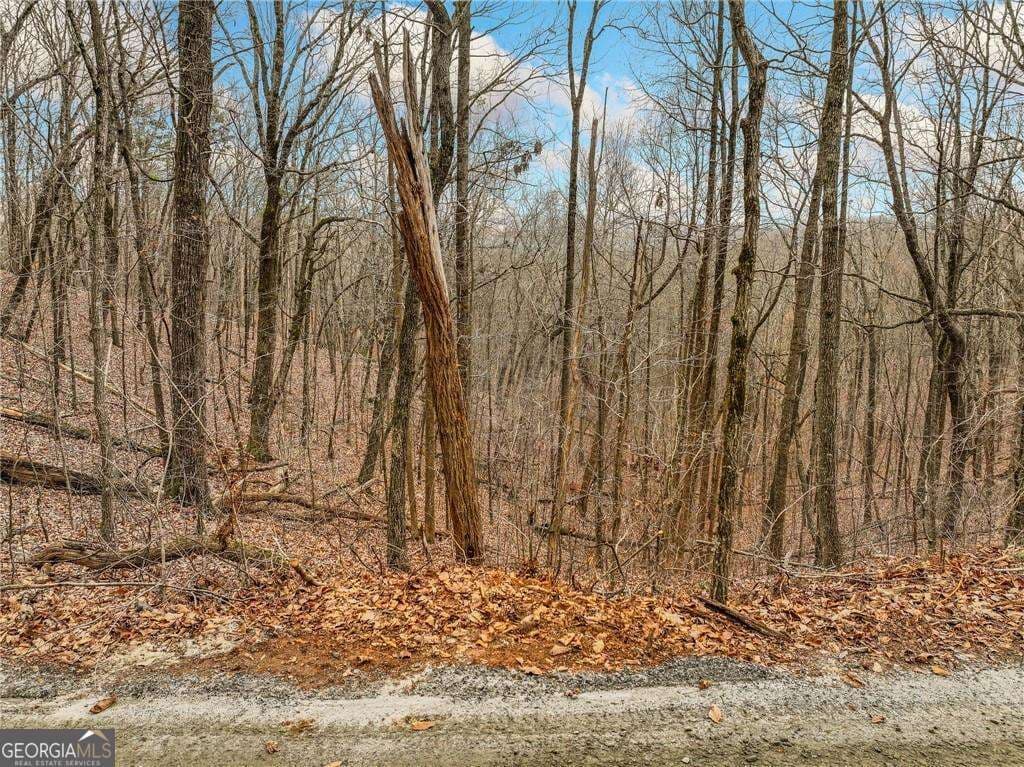 residential lot for sale at LOT 6 Mount Mincie Road, Murrayville, GA 30564 — photo 6