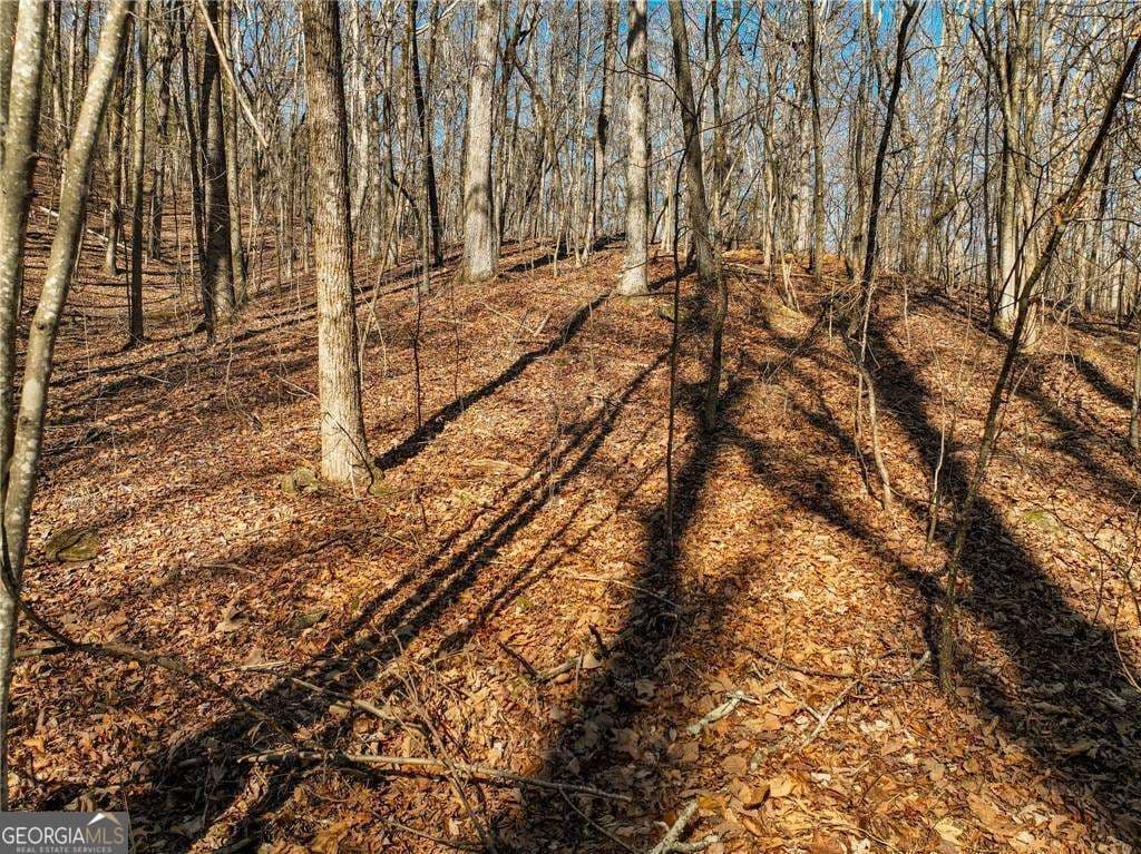 residential lot for sale at LOT 6 Mount Mincie Road, Murrayville, GA 30564 — photo 7