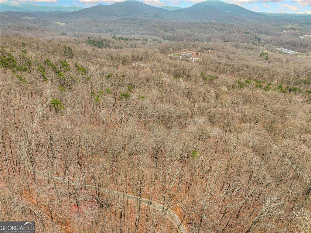residential lot for sale at LOT 6 Mount Mincie Road, Murrayville, GA 30564 — photo 3