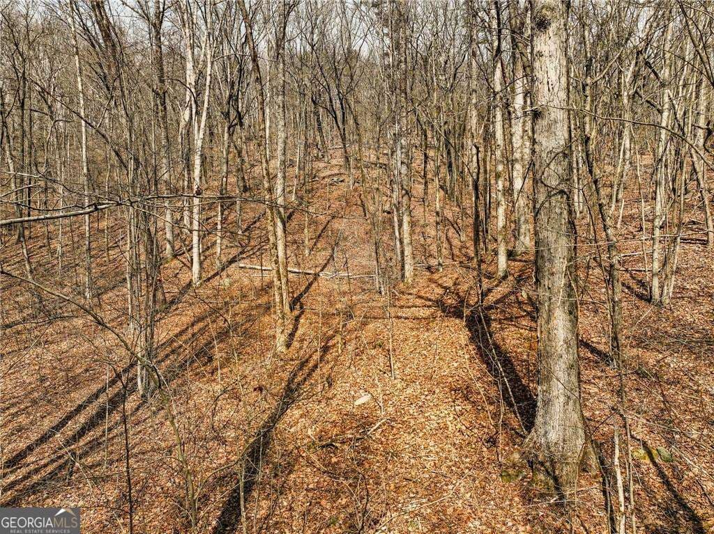 residential lot for sale at LOT 6 Mount Mincie Road, Murrayville, GA 30564 — photo 1 of 16