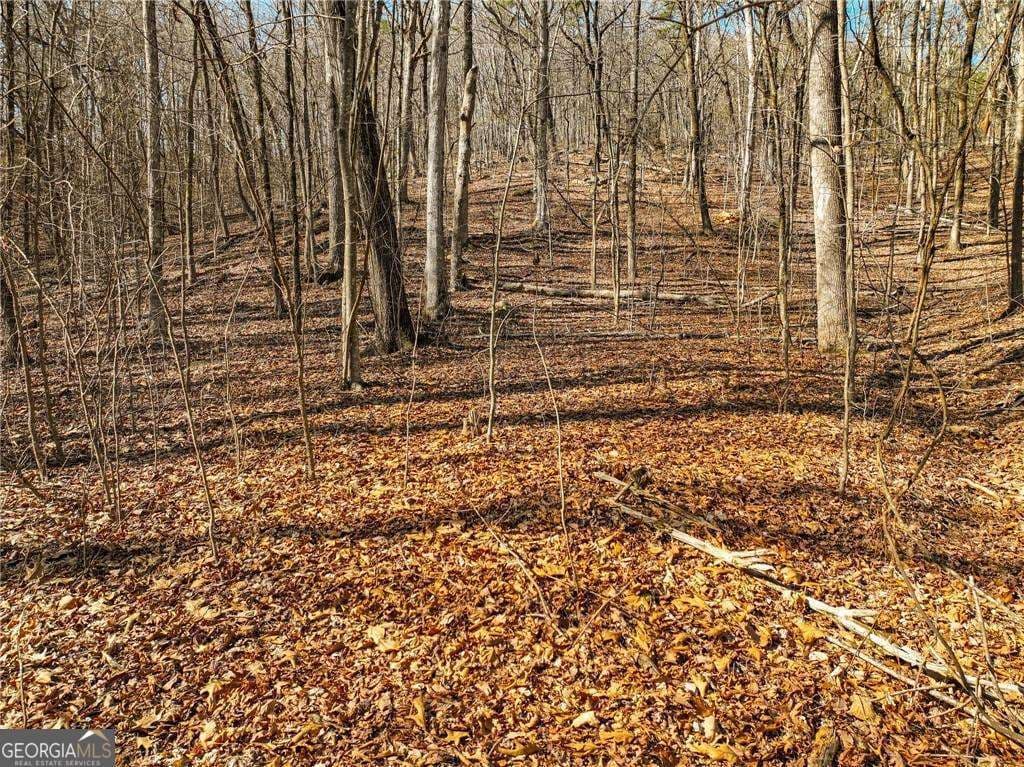 residential lot for sale at LOT 6 Mount Mincie Road, Murrayville, GA 30564 — photo 9