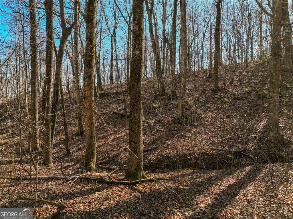 residential lot for sale at LOT 6 Mount Mincie Road, Murrayville, GA 30564 — photo 10