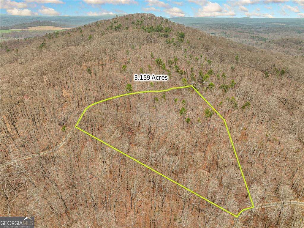 residential lot for sale at LOT 6 Mount Mincie Road, Murrayville, GA 30564 — photo 4