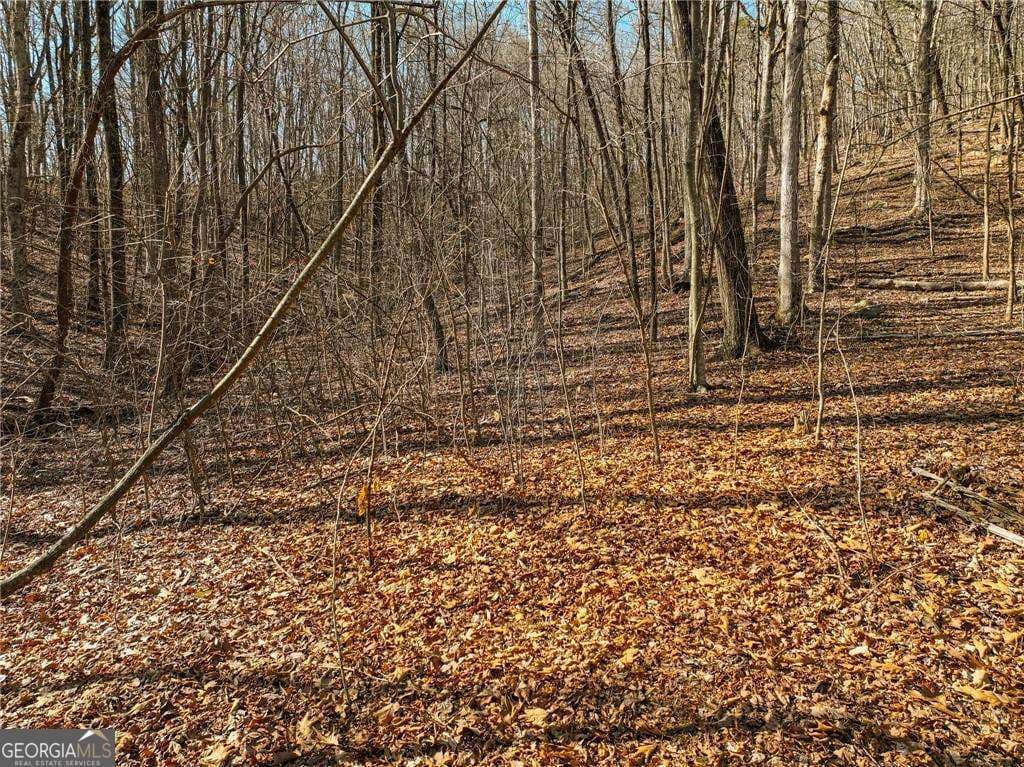 residential lot for sale at LOT 6 Mount Mincie Road, Murrayville, GA 30564 — photo 8