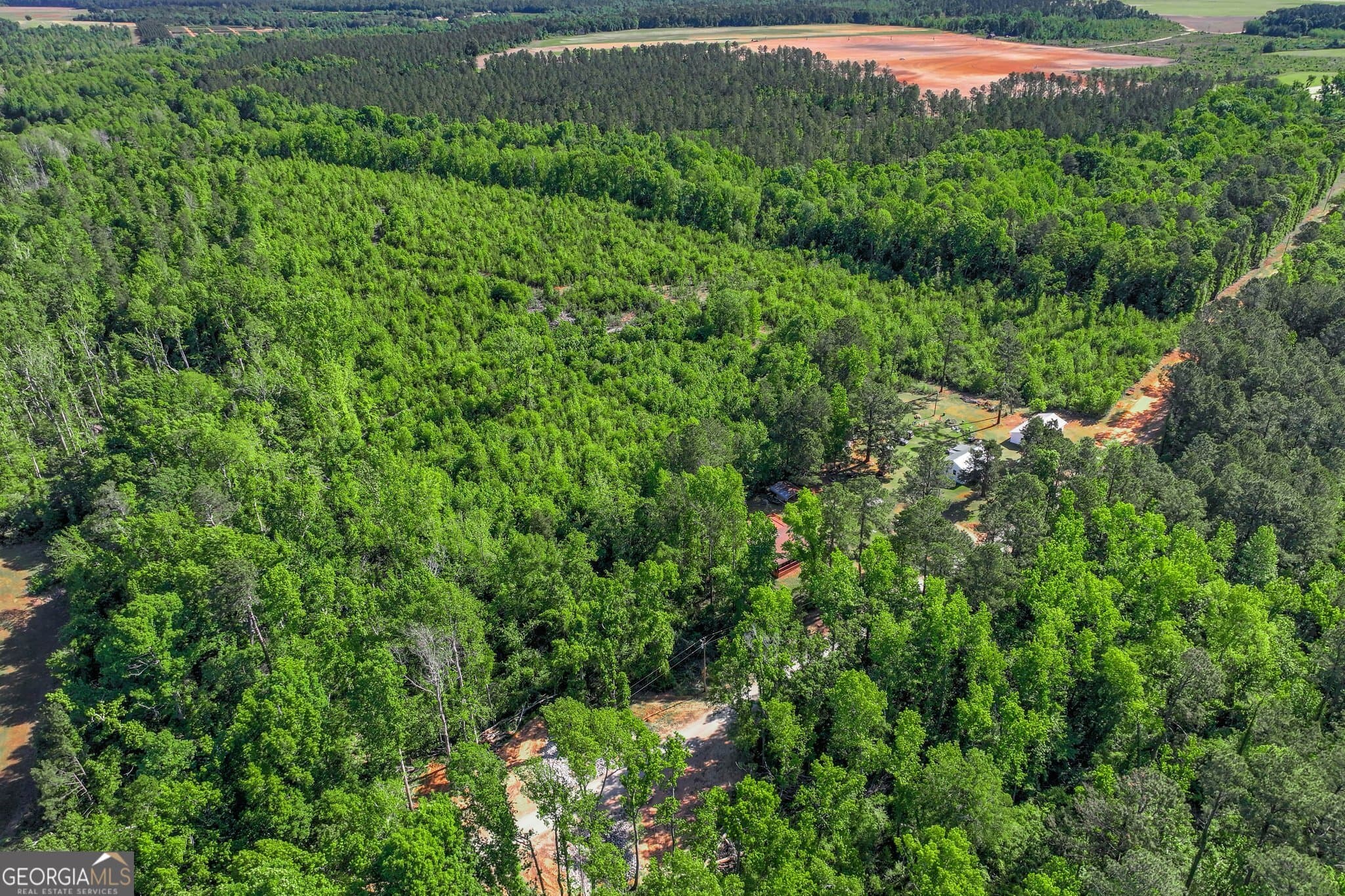 agriculture for sale at 1453 Atwell Station Road, Wrens, GA 30833 — photo 2