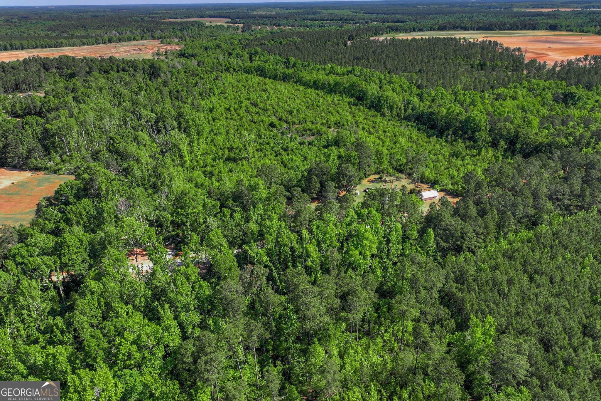 agriculture for sale at 1453 Atwell Station Road, Wrens, GA 30833 — photo 6