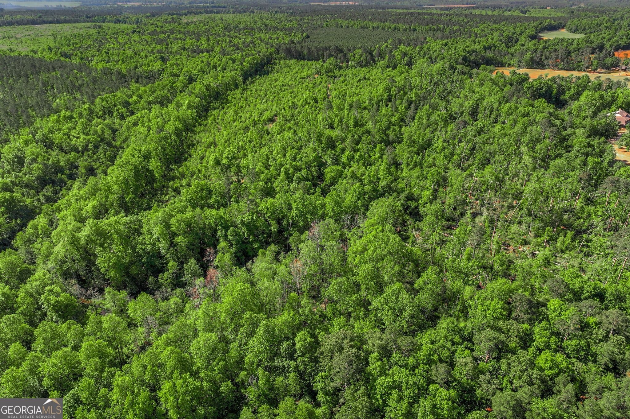 agriculture for sale at 1453 Atwell Station Road, Wrens, GA 30833 — photo 3