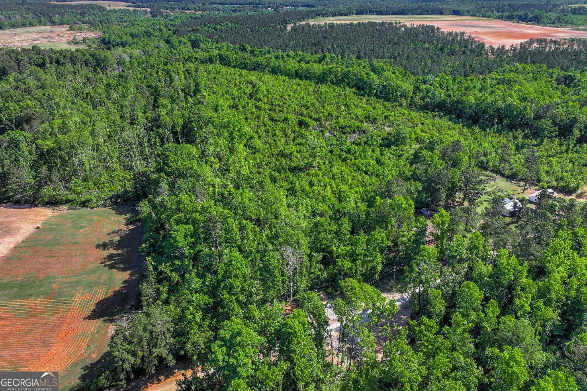 agriculture for sale at 1453 Atwell Station Road, Wrens, GA 30833 — photo 5