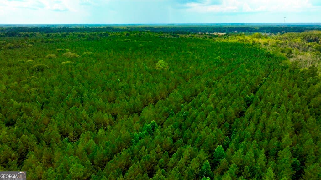 unimproved land for sale at 0 Highway 204 & Carlos Cowart Road, Pembroke, GA 31321 — photo 2