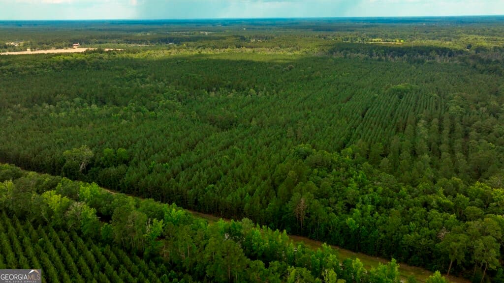 unimproved land for sale at 0 Highway 204 & Carlos Cowart Road, Pembroke, GA 31321 — photo 6