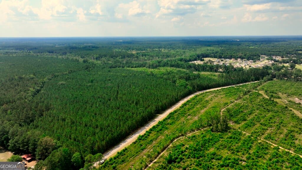 unimproved land for sale at 0 Highway 204 & Carlos Cowart Road, Pembroke, GA 31321 — photo 7