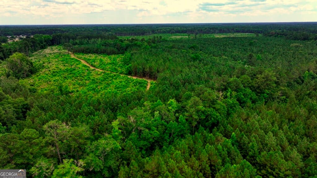 unimproved land for sale at 0 Highway 204 & Carlos Cowart Road, Pembroke, GA 31321 — photo 3