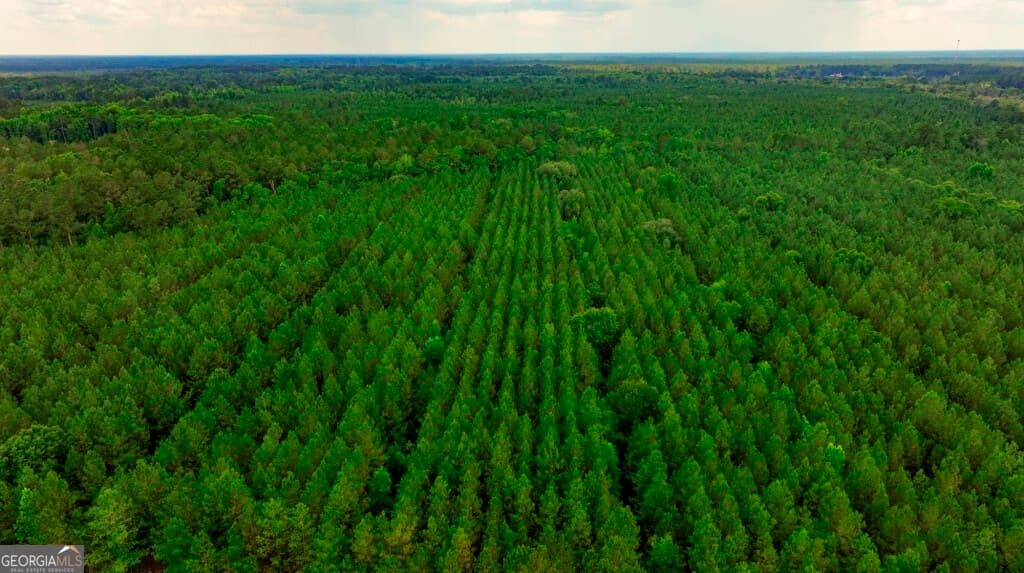 unimproved land for sale at 0 Highway 204 & Carlos Cowart Road, Pembroke, GA 31321 — photo 1 of 47