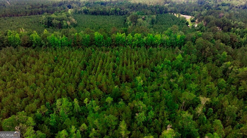 unimproved land for sale at 0 Highway 204 & Carlos Cowart Road, Pembroke, GA 31321 — photo 5