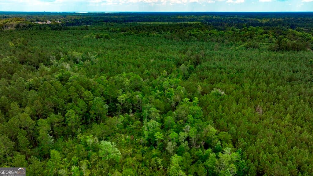 unimproved land for sale at 0 Highway 204 & Carlos Cowart Road, Pembroke, GA 31321 — photo 10