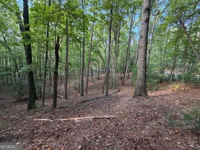 residential lot for sale at 556 Satsuma Court, Ellijay, GA 30540 — photo 2