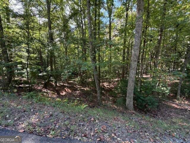residential lot for sale at 556 Satsuma Court, Ellijay, GA 30540 — photo 6