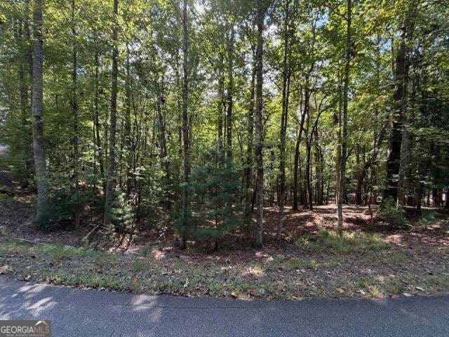 residential lot for sale at 556 Satsuma Court, Ellijay, GA 30540 — photo 7