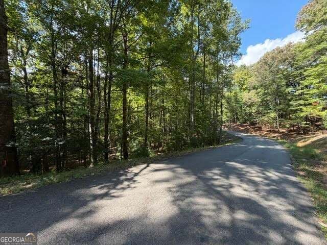 residential lot for sale at 556 Satsuma Court, Ellijay, GA 30540 — photo 3