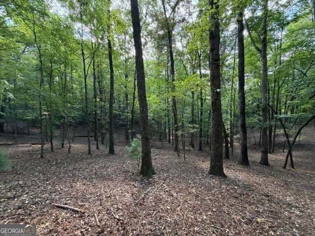 residential lot for sale at 556 Satsuma Court, Ellijay, GA 30540 — photo 1 of 18