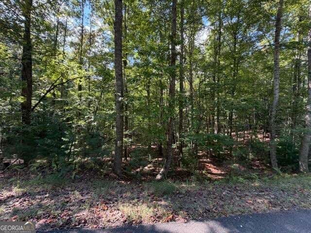 residential lot for sale at 556 Satsuma Court, Ellijay, GA 30540 — photo 5