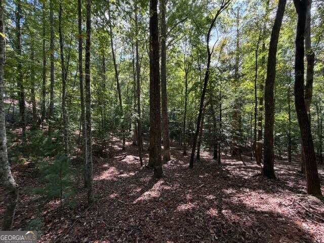residential lot for sale at 556 Satsuma Court, Ellijay, GA 30540 — photo 9