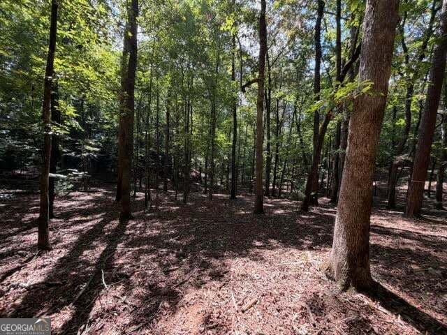 residential lot for sale at 556 Satsuma Court, Ellijay, GA 30540 — photo 10