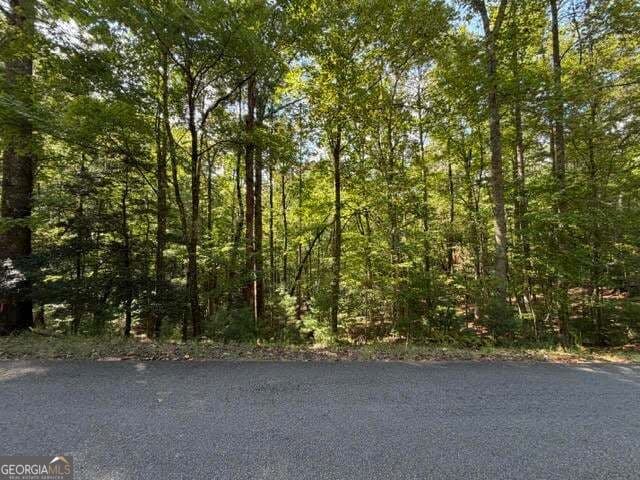 residential lot for sale at 556 Satsuma Court, Ellijay, GA 30540 — photo 4