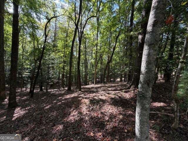 residential lot for sale at 556 Satsuma Court, Ellijay, GA 30540 — photo 8
