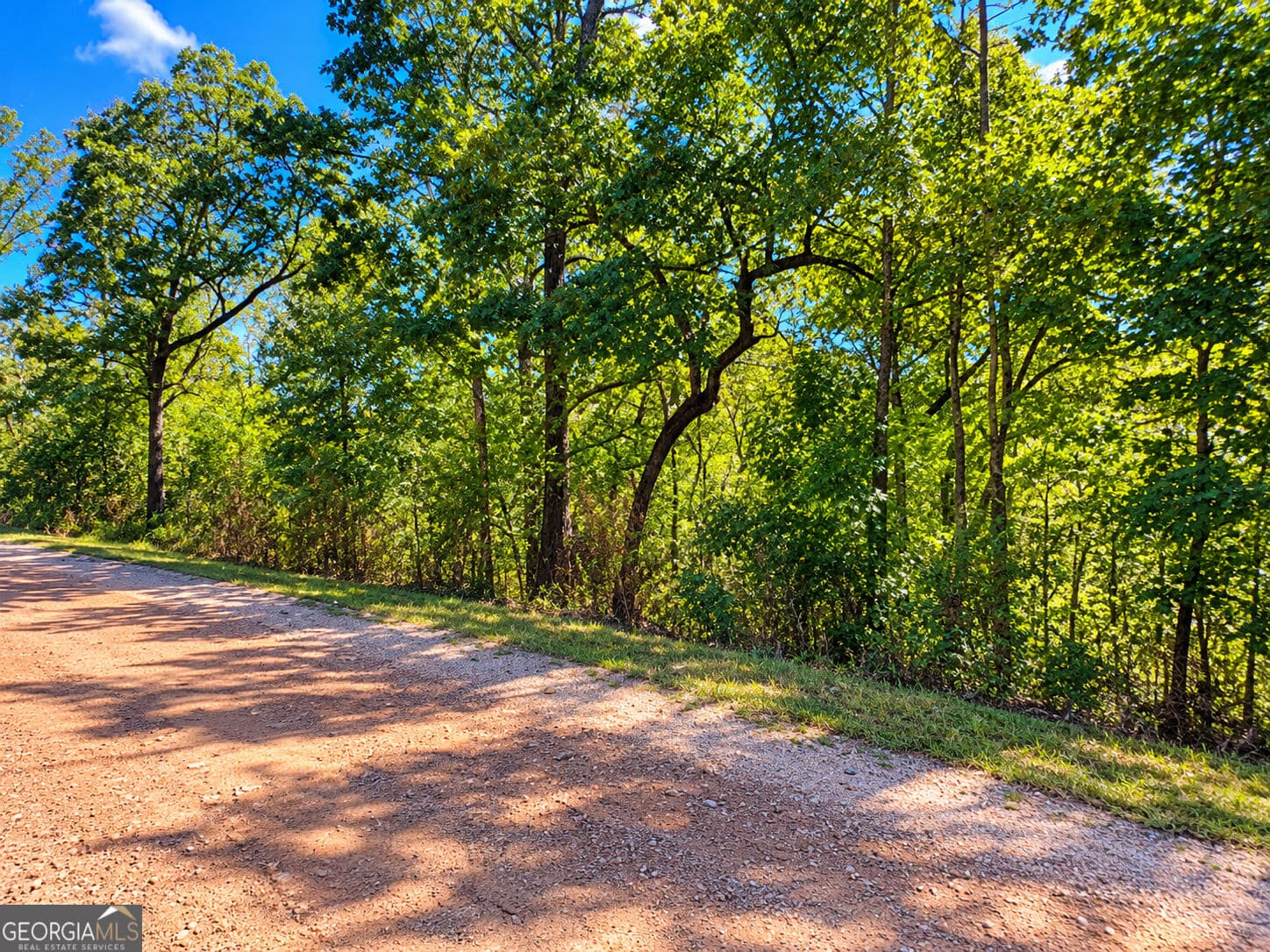 residential lot for sale at 0 Luther Drive, Wedowee, AL 36278 — photo 3