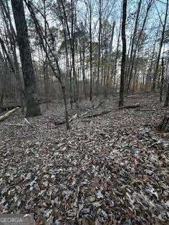 unimproved land for sale at 0 River Ridge Trail, Sparta, GA 31087 — photo 2