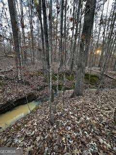 unimproved land for sale at 0 River Ridge Trail, Sparta, GA 31087 — photo 3
