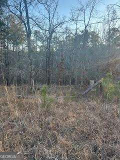 unimproved land for sale at 0 River Ridge Trail, Sparta, GA 31087 — photo 1 of 4