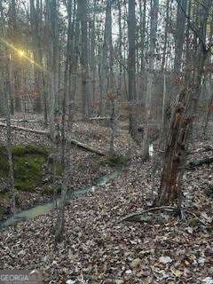 unimproved land for sale at 0 River Ridge Trail, Sparta, GA 31087 — photo 4